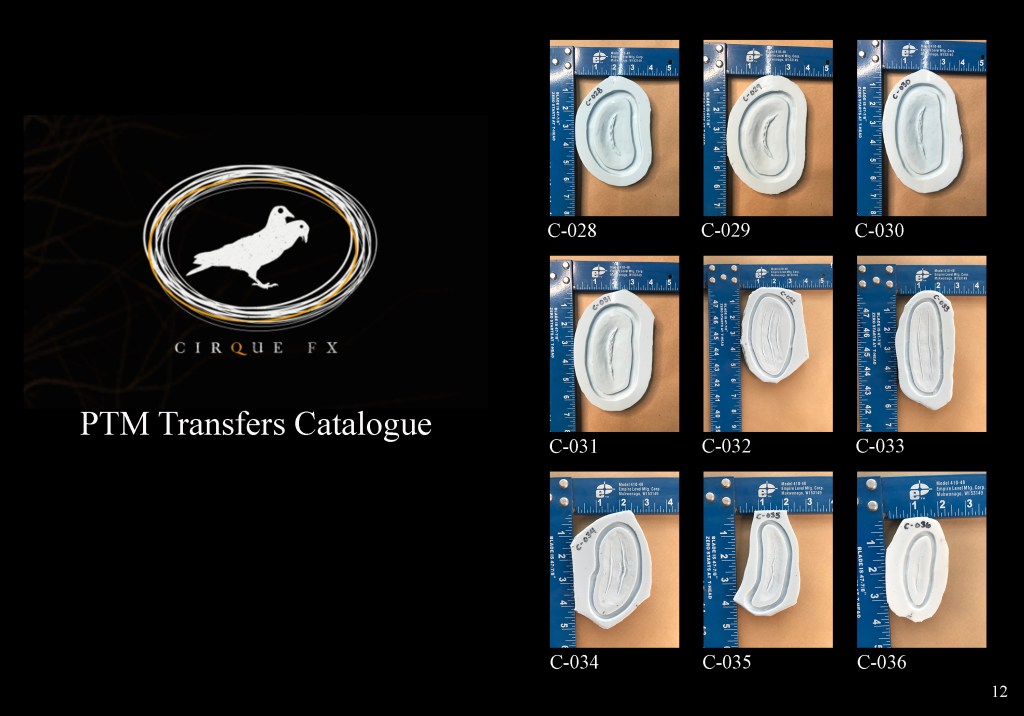 PTM transfers catalogue 
